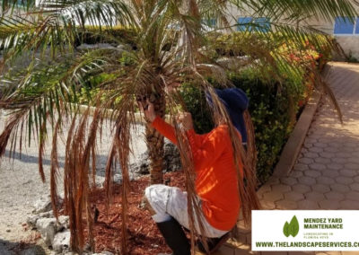 thelandscapeservices.com - General lawn maintenance & Landscape in florida keys