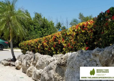 thelandscapeservices.com - General lawn maintenance & Landscape in florida keys