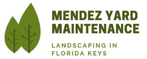 Landscape Services, Lawn and Yard Maintenance