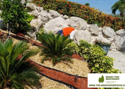 thelandscapeservices.com - General lawn maintenance & Landscape in florida keys