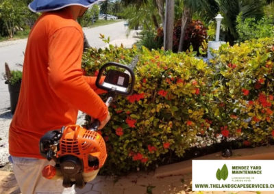 thelandscapeservices.com - General lawn maintenance & Landscape in florida keys